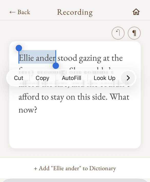 Selecting the mis-heard name Ellie ander in a transcript, with Add to Dictionary offered below